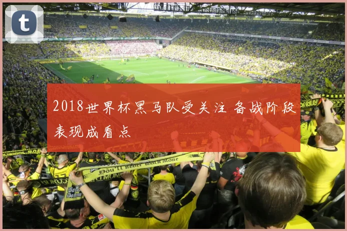 2018世界杯黑马队受关注 备战阶段表现成看点