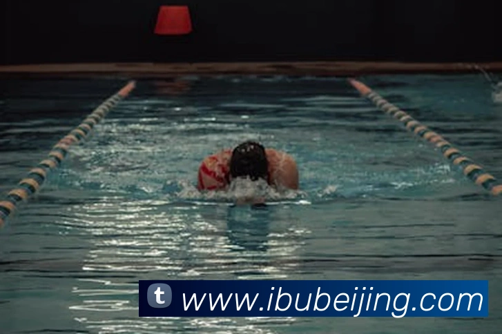 多媒体互动体验